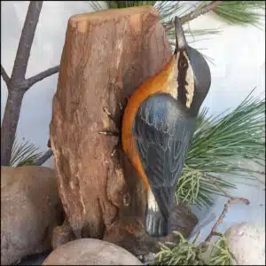 B-01 Red Breasted Nuthatch Bird