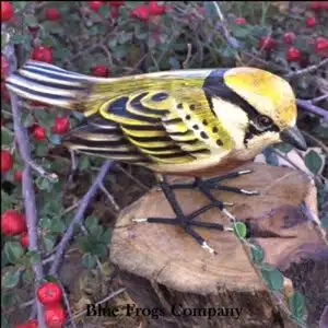B-02 Chestnut Sided Warbler Bird