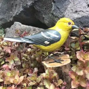 B-03 Yellow  Warbler  Bird