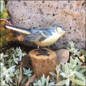 B-04 Blue Grey Gnatcatcher Bird