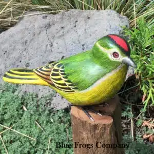 B-05 Ruby Crowned Kinglet Bird