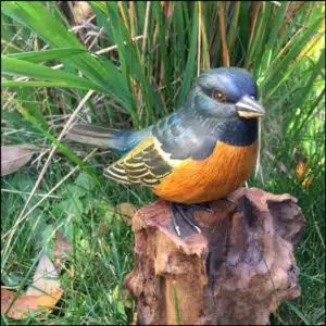 B-07 Lazuli Bunting Bird