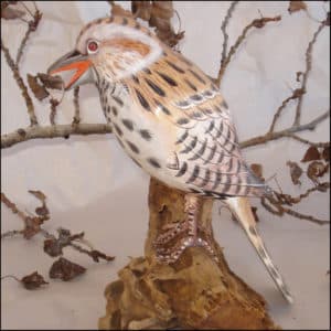 Cactus Wren Bird Handmade Woodcraft
