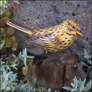 B-13 Vesper Sparrow Bird