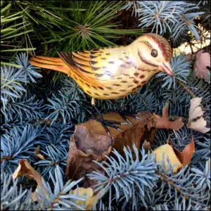 B-14 Song Sparrow Bird