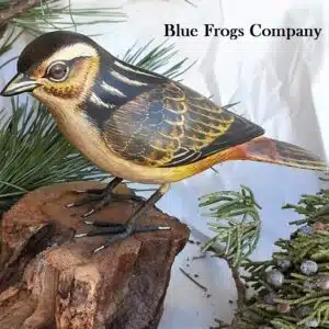 B-26 Marsh Wren Bird
