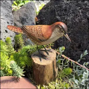 B-28 Bewick's Wren Bird