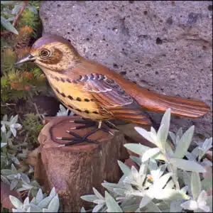 B-29 Brown Thrasher Bird