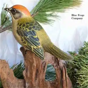 B-23 Green Tailed Towhee Bird