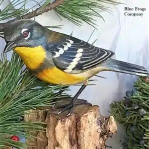 B-32 Northern Parula Warbler Bird