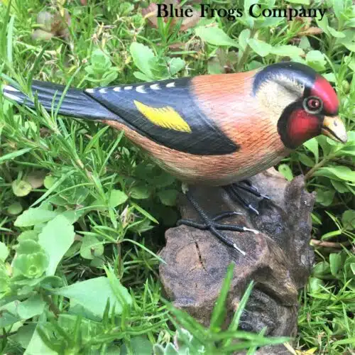B-68 European Goldfinch Bird