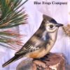 B-71 Tufted Titmouse Bird