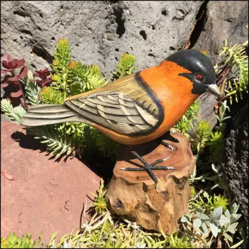 B-82 Orange Breasted Vireo Bird