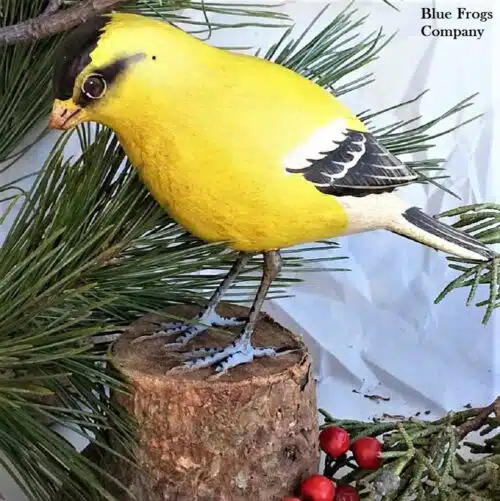B-84 American Goldfinch