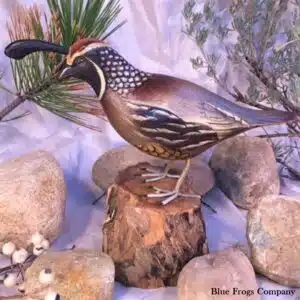 B-89 California Quail Bird