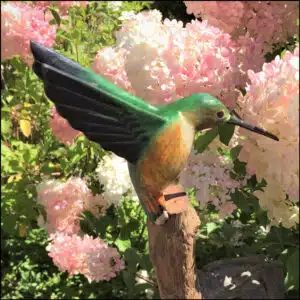 B-87 Rufous Hummingbird Bird