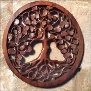 CM-16-7 Tree of Life