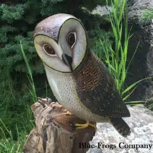 B-105 Barn Owl