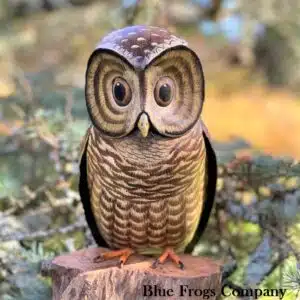 B-108 Spotted Owl