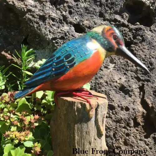 B-95 Ringed King Fisher