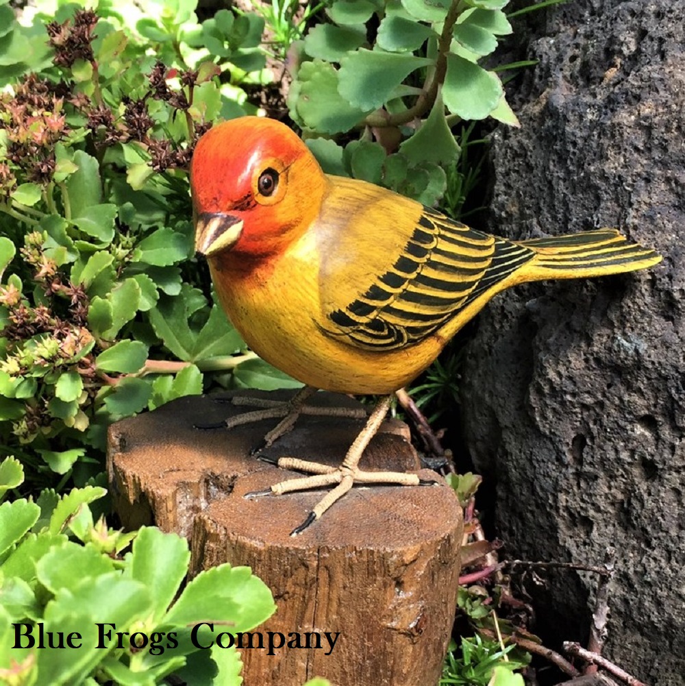 B-97 Saffron Finch - Celtic, Viking And Lamp Woodcraft Carvings